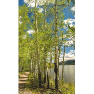 Инфракрасный обогреватель ОАО БРТЗ 20с455