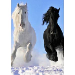 Инфракрасный обогреватель ОАО БРТЗ Пегас 19с425