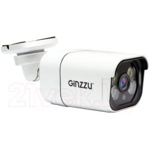 IP-камера Ginzzu HIB-2302B