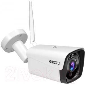 IP-камера Ginzzu HWB-4301A