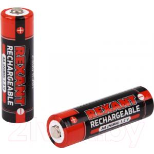 Комплект аккумуляторов Rexant 30-1423