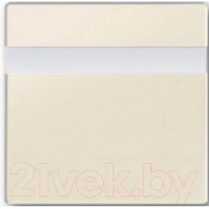 Лицевая панель для датчика движения ABB Basic 55 6800-0-2487