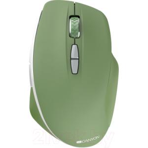 Мышь Canyon CNS-CMSW21SM