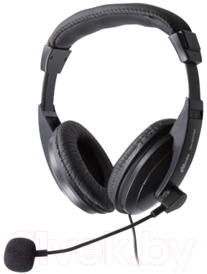 Наушники-гарнитура Ritmix RH-524M Наушники-гарнитура Ritmix RH-524M