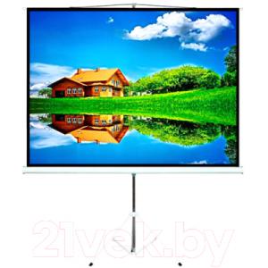 Проекционный экран Maclean MC-595