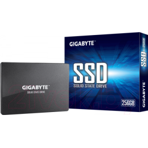 SSD диск Gigabyte 256GB (GP-GSTFS31256GTND)