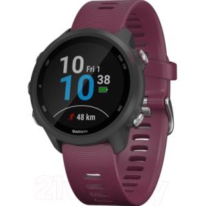 Умные часы Garmin Forerunner 245 / 010-02120-11