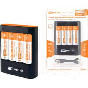 Зарядное устройство для аккумуляторов TDM SQ1702-0101
