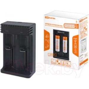 Зарядное устройство для аккумуляторов TDM SQ1702-0113