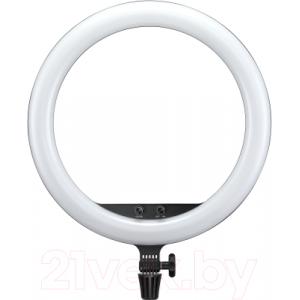 Осветитель студийный Godox LR150 LED Black / 28069