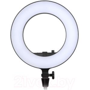Осветитель студийный Godox LR180 LED Black / 27982