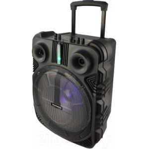 Портативная колонка Telefunken TF-PS2306