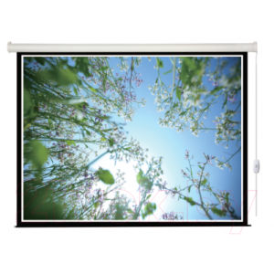 Проекционный экран Lumien Eco Control 198x300 / LEC-100112