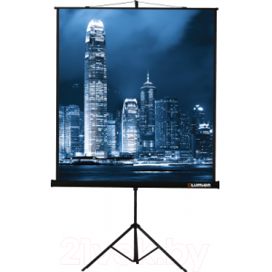Проекционный экран Lumien Master View 220x220 / LMV-100111