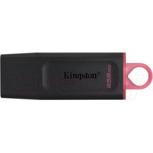 Usb flash накопитель Kingston Data Traveler Exodia 256GB (DTX/256GB)