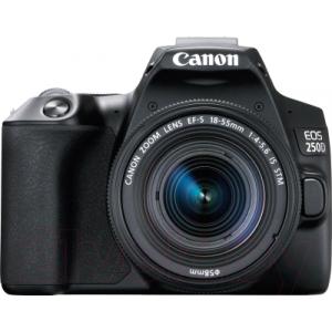 Зеркальный фотоаппарат Canon EOS 250D Kit EF-S 18-55mm IS STM / 3454C002
