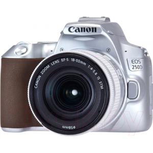 Зеркальный фотоаппарат Canon EOS 250D Kit EF-S 18-55mm IS STM / 3461C001